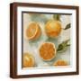 Brown Frame