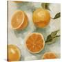 Stretched Canvas