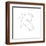 Brown Frame
