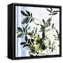 Canvas Black