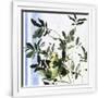 Gramercy White