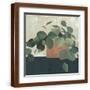 Brown Frame