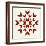 Brown Frame