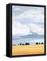 Canvas Black