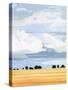 Stretched Canvas