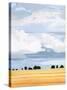 Stretched Canvas