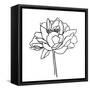 Canvas Black