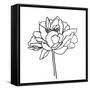 Canvas Black