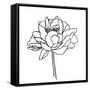 Canvas Black