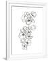 Gramercy White