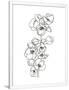 Gramercy White