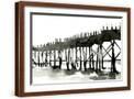 Brown Frame