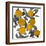 Brown Frame