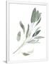Gramercy White