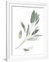 Gramercy White