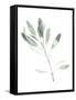 Canvas Black
