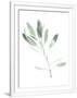 Gramercy White