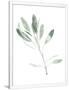 Gramercy White