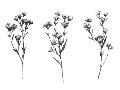 Just the Print