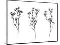 Wood Mount