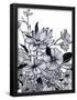 Essential Black