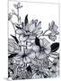 Wood Mount