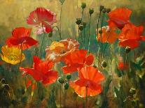 Poppy Fields-Emma Styles-Art Print