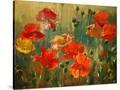 Stretched Canvas