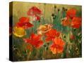 Stretched Canvas
