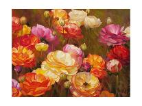 Ranunculus Garden-Emma Styles-Art Print