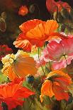 Ranunculus Garden-Emma Styles-Stretched Canvas