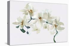 Soft Bouquet - Collect-Emma Violet-Framed Giclee Print