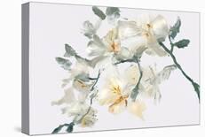 Wild Orchid - Flourish-Emma Violet-Stretched Canvas