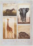 Animals of Africa-Emmanuelle Teyras-Art Print