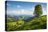 Emmental Valley, Berner Oberland, Switzerland-Jon Arnold-Stretched Canvas