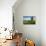 Emmental Valley, Berner Oberland, Switzerland-Jon Arnold-Photographic Print displayed on a wall