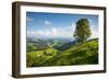 Emmental Valley, Berner Oberland, Switzerland-Jon Arnold-Framed Photographic Print