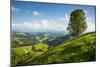 Emmental Valley, Berner Oberland, Switzerland-Jon Arnold-Mounted Photographic Print