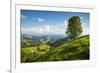 Emmental Valley, Berner Oberland, Switzerland-Jon Arnold-Framed Photographic Print