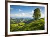 Emmental Valley, Berner Oberland, Switzerland-Jon Arnold-Framed Photographic Print