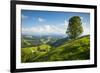 Emmental Valley, Berner Oberland, Switzerland-Jon Arnold-Framed Photographic Print