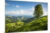 Emmental Valley, Berner Oberland, Switzerland-Jon Arnold-Mounted Photographic Print