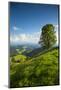 Emmental Valley, Berner Oberland, Switzerland-Jon Arnold-Mounted Photographic Print