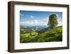 Emmental Valley, Berner Oberland, Switzerland-Jon Arnold-Framed Photographic Print