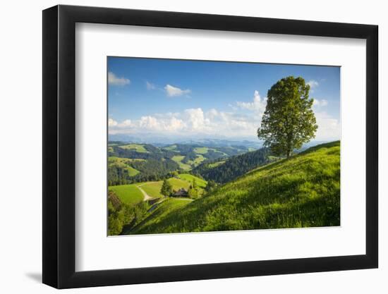 Emmental Valley, Berner Oberland, Switzerland-Jon Arnold-Framed Photographic Print