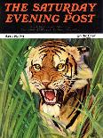 "Snarling Tiger," Saturday Evening Post Cover, April 19, 1941-Emmett Watson-Framed Giclee Print