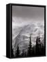 Emmons Glacier Reflects a Bit of Sunlight as Clouds Cover the Summit of Mount Rainier-John Froschauer-Framed Stretched Canvas