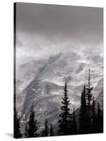 Emmons Glacier Reflects a Bit of Sunlight as Clouds Cover the Summit of Mount Rainier-John Froschauer-Stretched Canvas