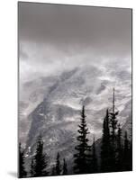 Emmons Glacier Reflects a Bit of Sunlight as Clouds Cover the Summit of Mount Rainier-John Froschauer-Mounted Premium Photographic Print