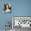 Emmy Rossum-null-Mounted Photo displayed on a wall